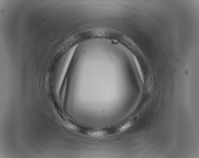 X0000083640217200703051709