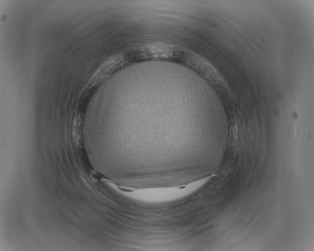 X0000083640218200703051709