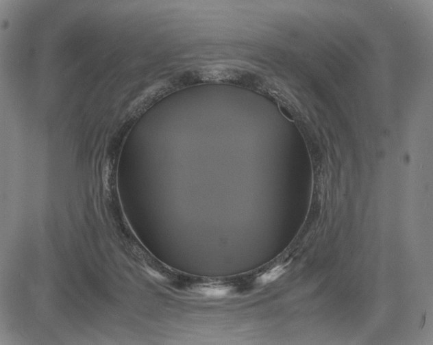 X0000083640219200703051709