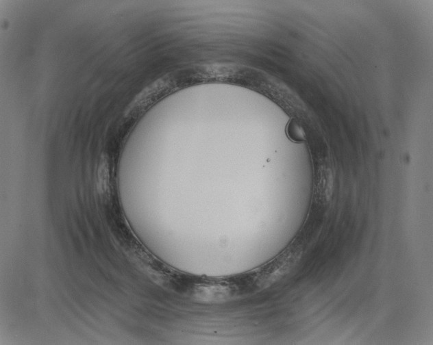 X0000083640220200703051709