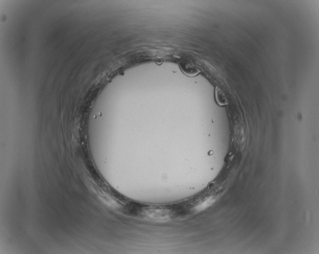 X0000083640221200703051709