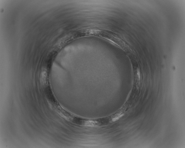 X0000083640222200703051709