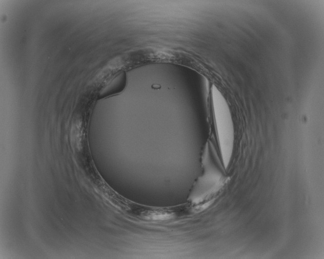 X0000083640223200703051709