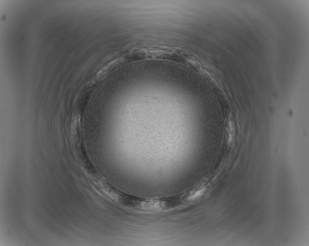 X0000083640225200703051709