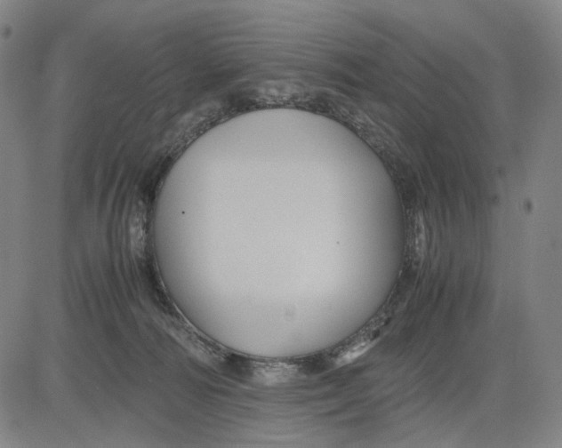 X0000083640226200703051709