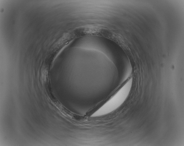 X0000083640227200703051709