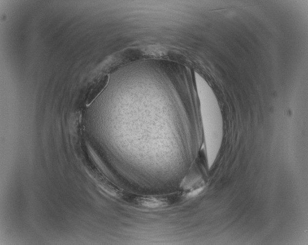 X0000083640229200703051709