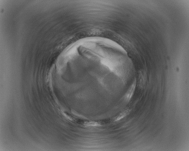 X0000083640230200703051709