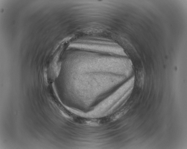 X0000083640232200703051709