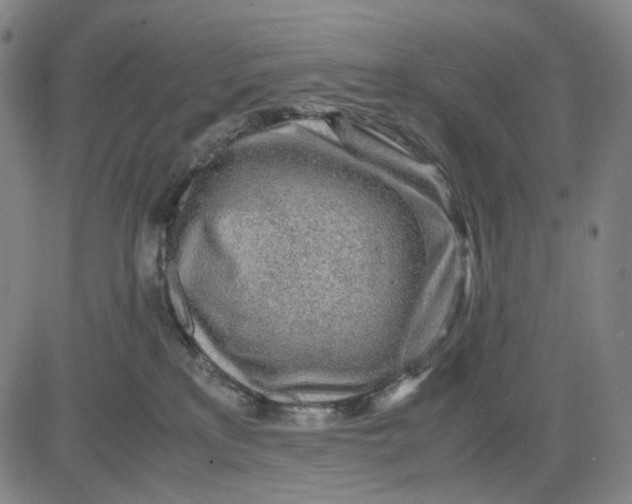 X0000083640233200703051709