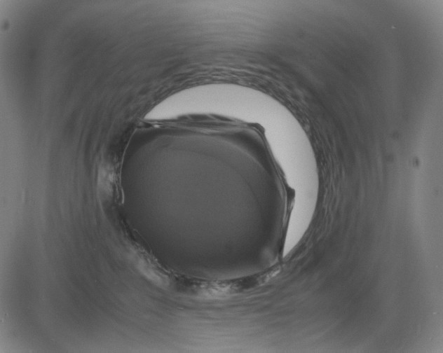 X0000083640235200703051709