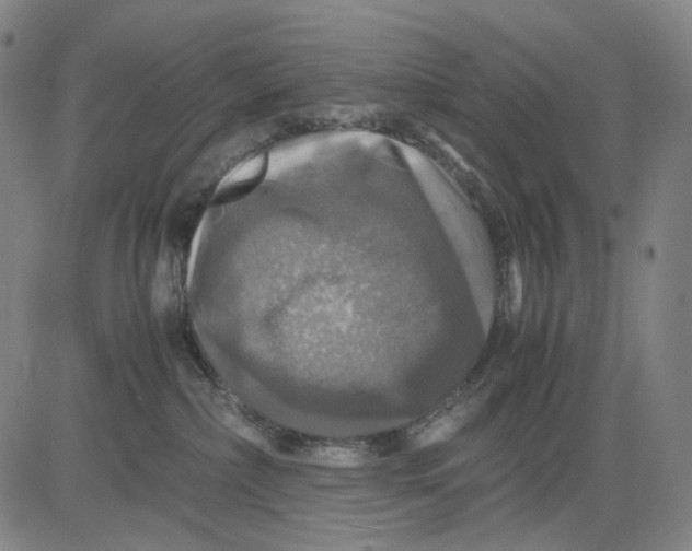 X0000083640236200703051709