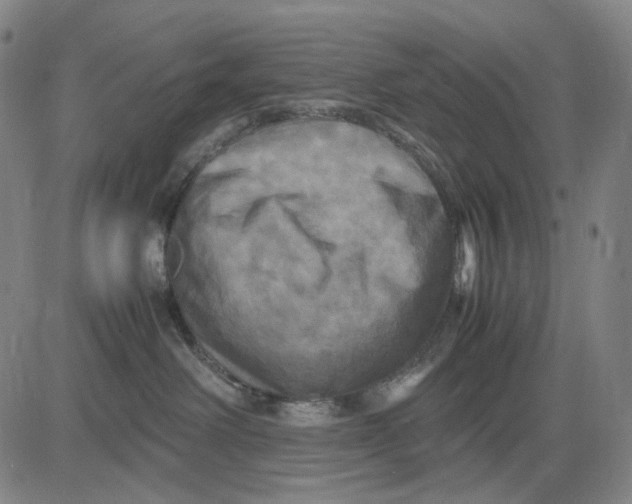 X0000083640238200703051708