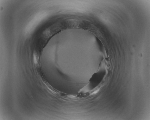 X0000083640239200703051708