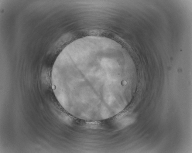 X0000083640240200703051708