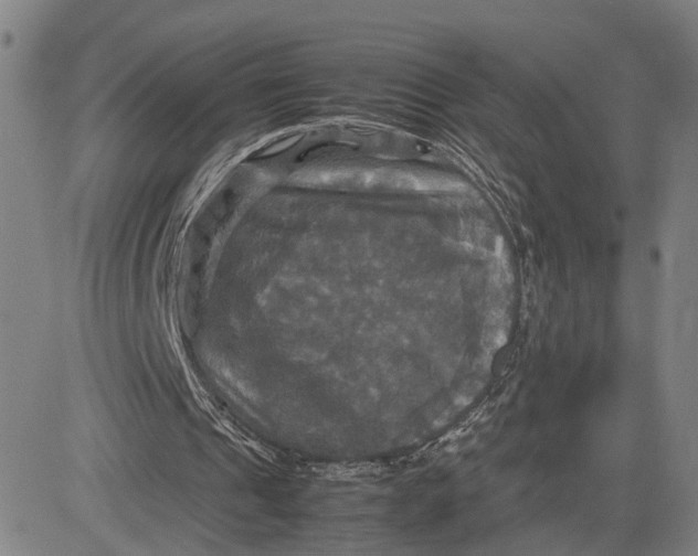 X0000083640241200703051708