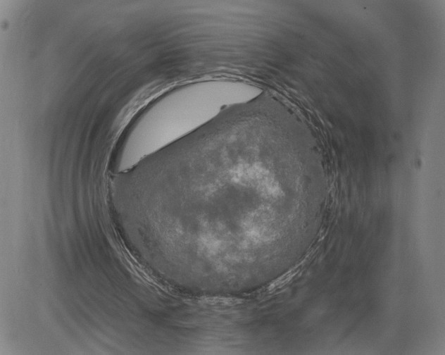 X0000083640242200703051708