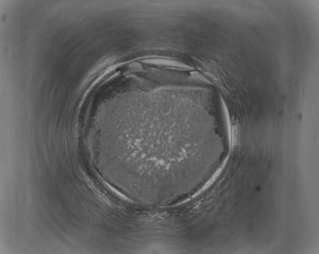 X0000083640243200703051708