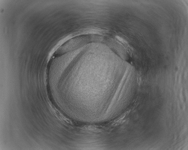 X0000083640244200703051708