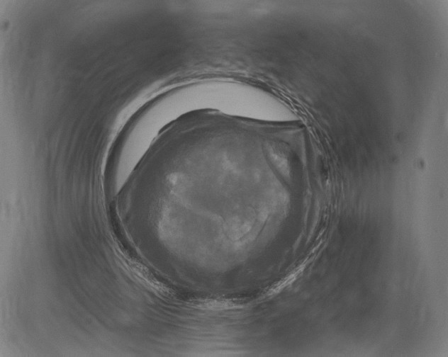 X0000083640246200703051708