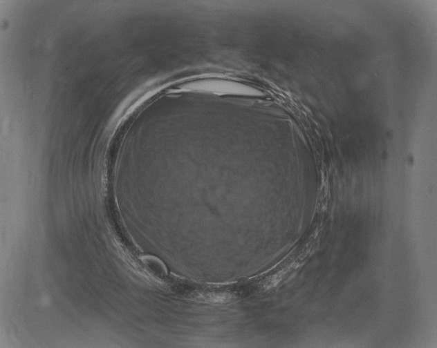 X0000083640247200703051708