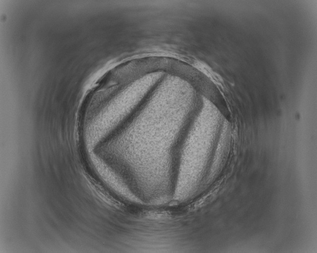 X0000083640248200703051708