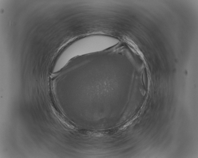 X0000083640249200703051708