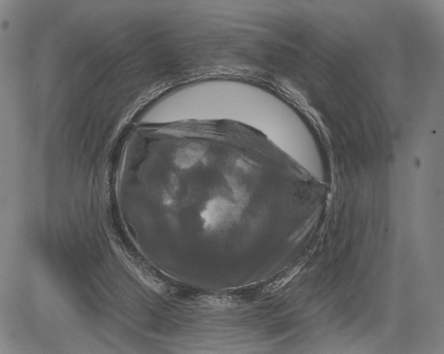 X0000083640250200703051708