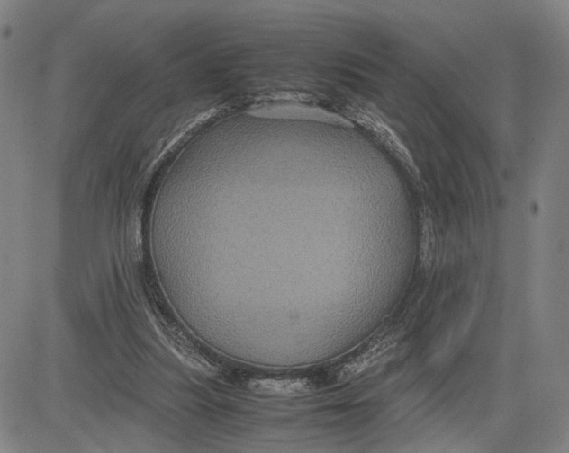 X0000083640251200703051708