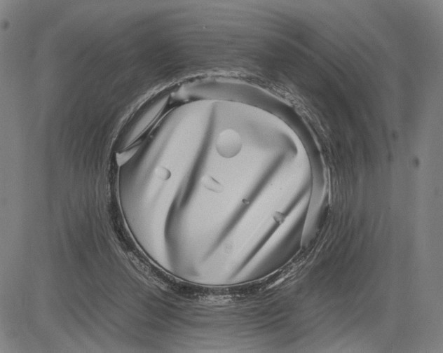 X0000083640252200703051708