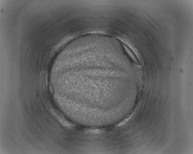 X0000083640253200703051708