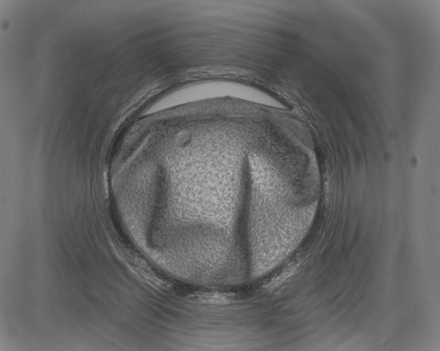 X0000083640254200703051708