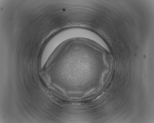 X0000083640256200703051708