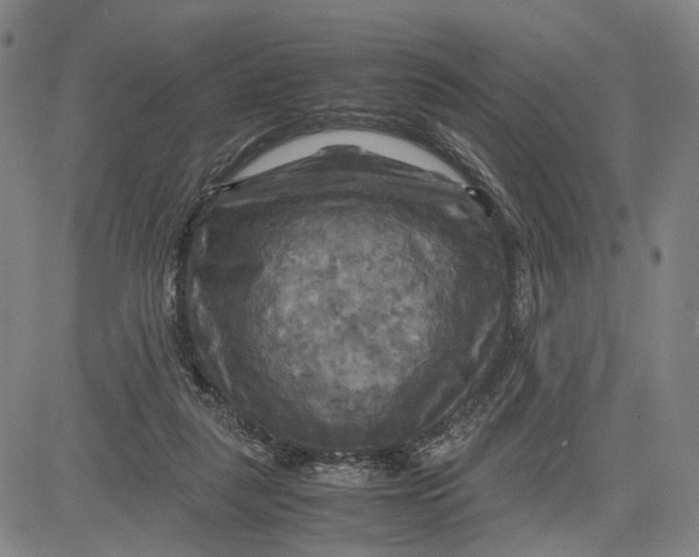 X0000083640259200703051708