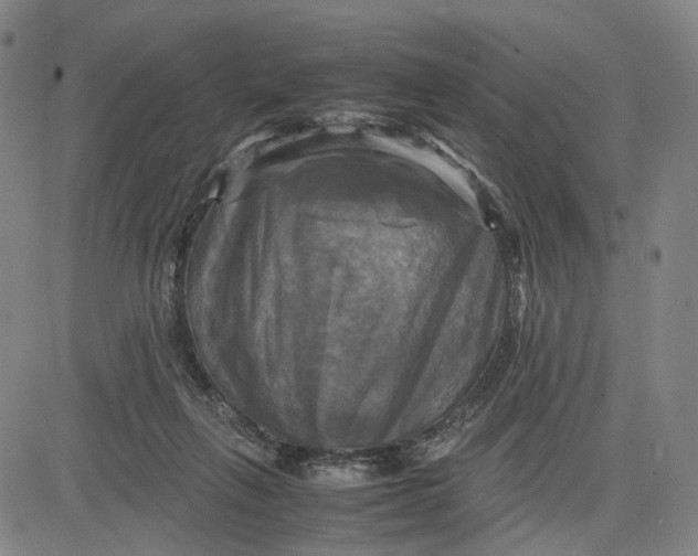 X0000083640263200703051708