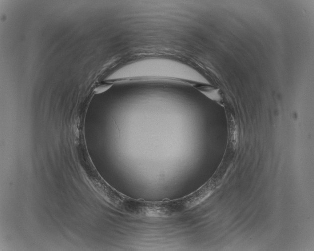 X0000083640264200703051708