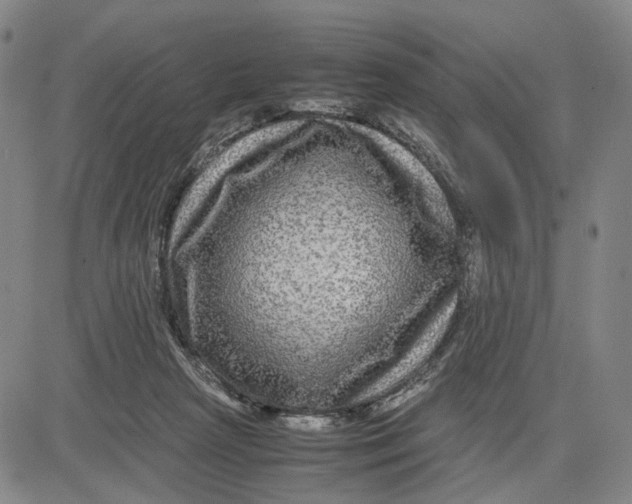 X0000083640265200703051708