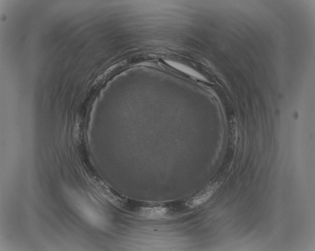 X0000083640266200703051708