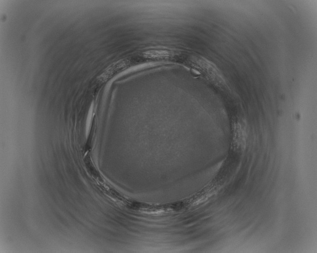 X0000083640267200703051708