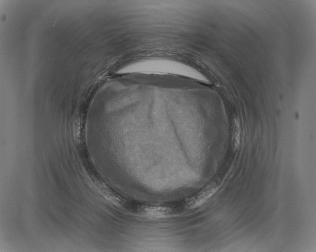 X0000083640268200703051708