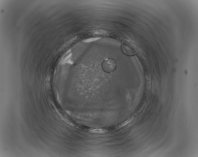 X0000083640269200703051708