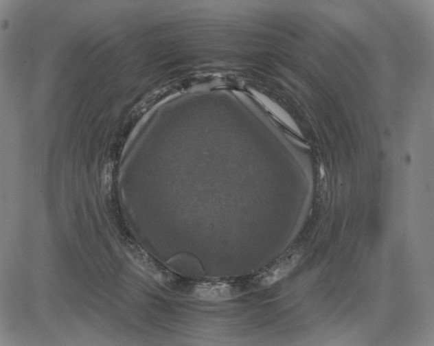 X0000083640271200703051708