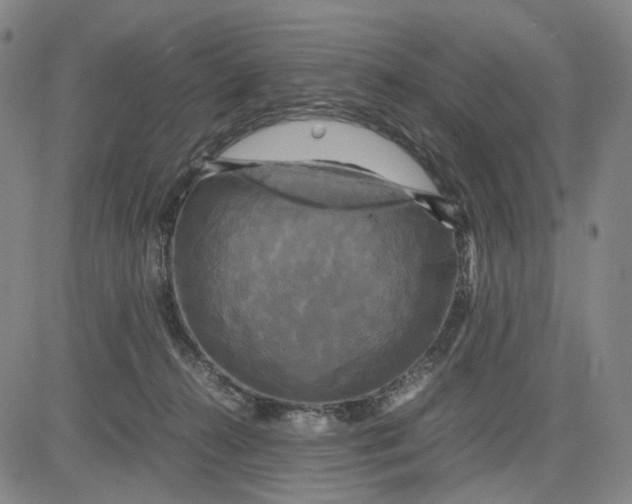 X0000083640272200703051708