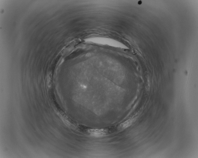 X0000083640273200703051708