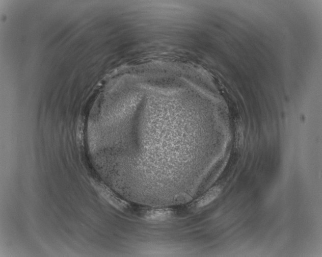 X0000083640274200703051708