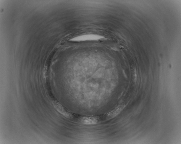 X0000083640275200703051708