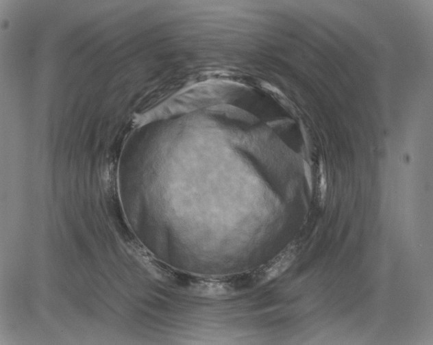 X0000083640276200703051708