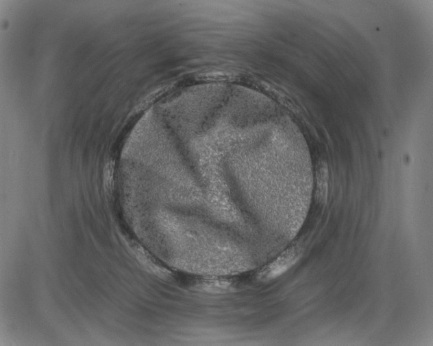 X0000083640278200703051708