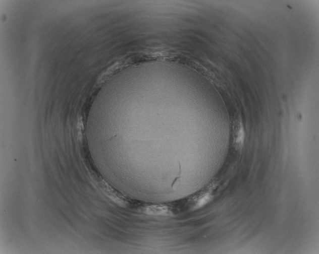 X0000083640279200703051708