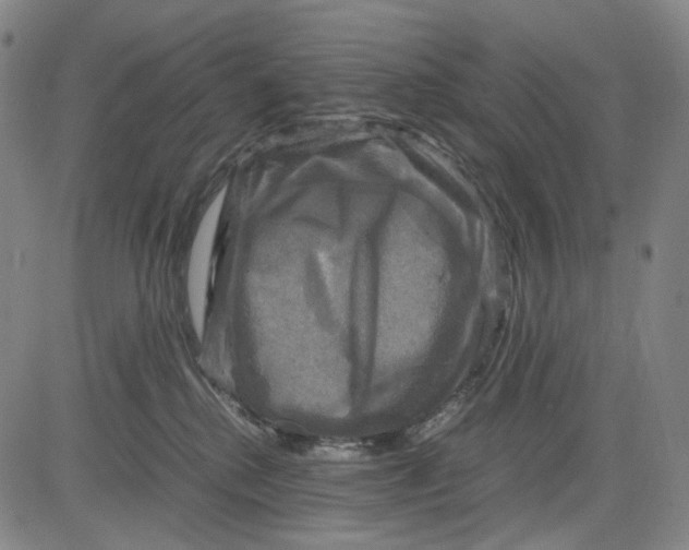 X0000083640280200703051708